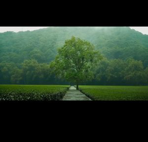 2025亞太青年文學創作大賽（冬季賽）參賽作品